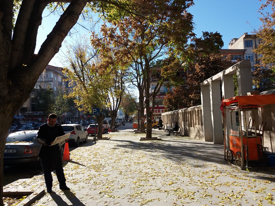 Renk Cümbüşü Görenleri Hayran Bırakıyor