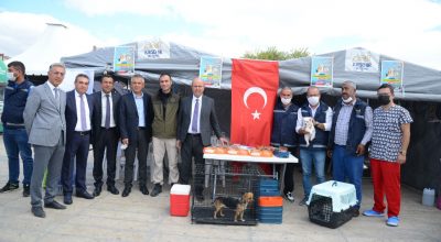 Kırşehir Belediyesi, Dünya Hayvanları Koruma Gününde Farkın dalık Yarattı