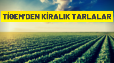 TİGEM’den kiralık tarlalar