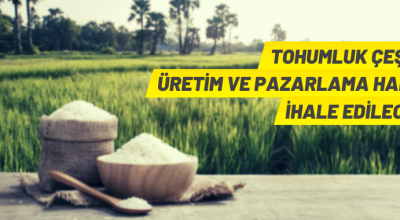 Tohumluk çeşidinin üretim ve pazarlama hakkı satılacak