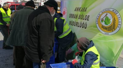 10 Bin Fidan Dağıtılacak