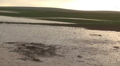 Kırşehir’de dolu ve sağanak tarım arazilerine zarar verdi