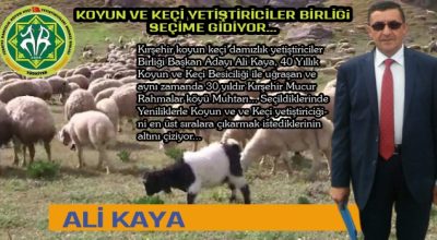 Koyun ve Keçi Yetiştiriciler Birliği seçime gidiyor￼