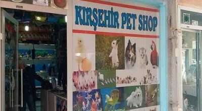 Petshoplarda yeni dönem sevindirdi